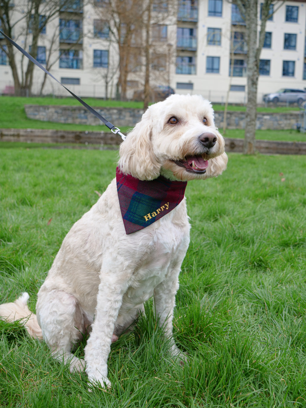 Tweed dog shop bandana